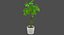 Colección de plantas de interior
