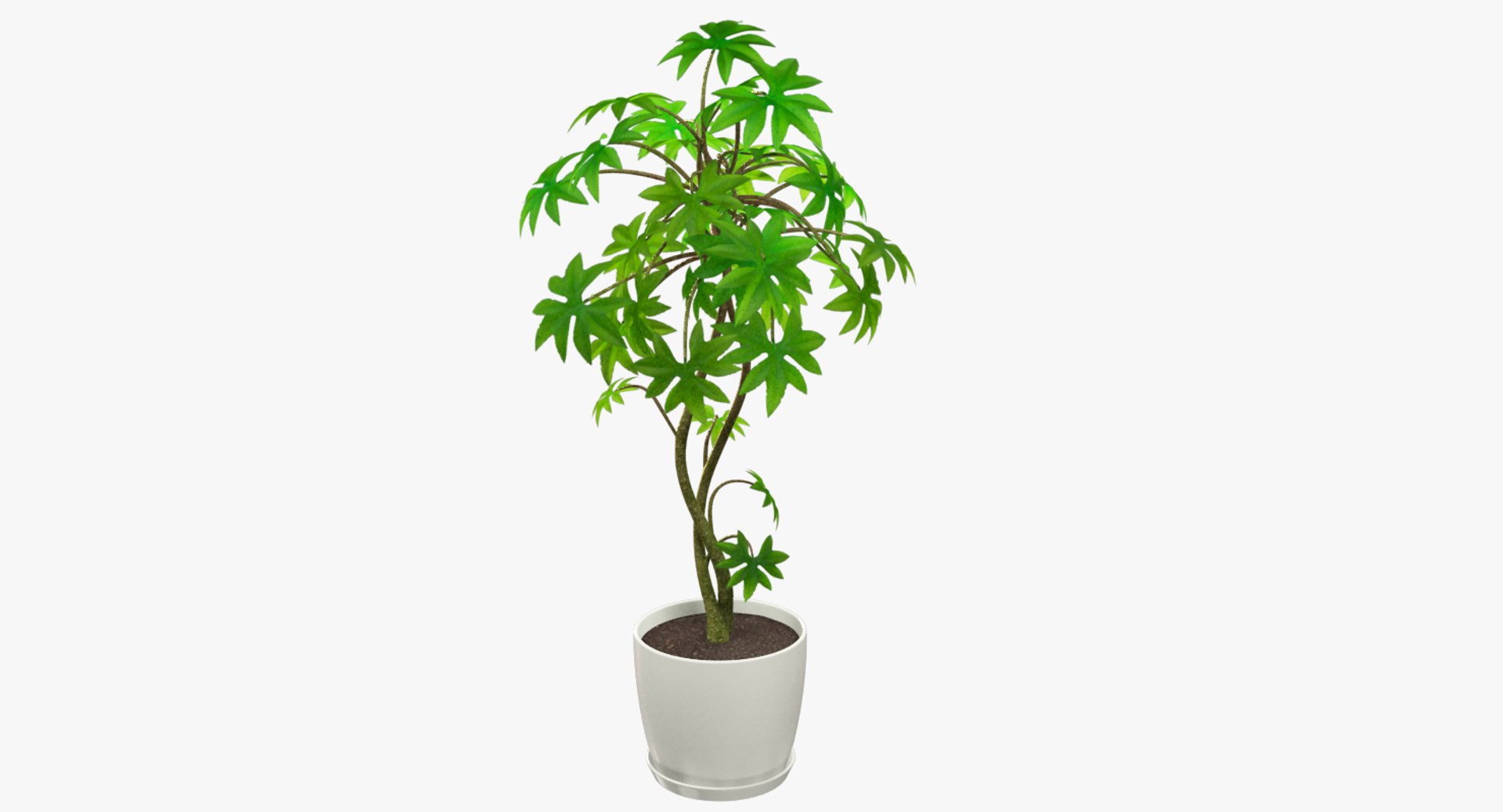 3D model indoor plants https://p.turbosquid.com/ts-thumb/vz/6ymWgl/ibgoEIDK/004_001copy/png/1530029314/1920x1080/fit_q87/ce549966ea1a0ff058b85eddd1f8e9b164a91798/004_001copy.jpg