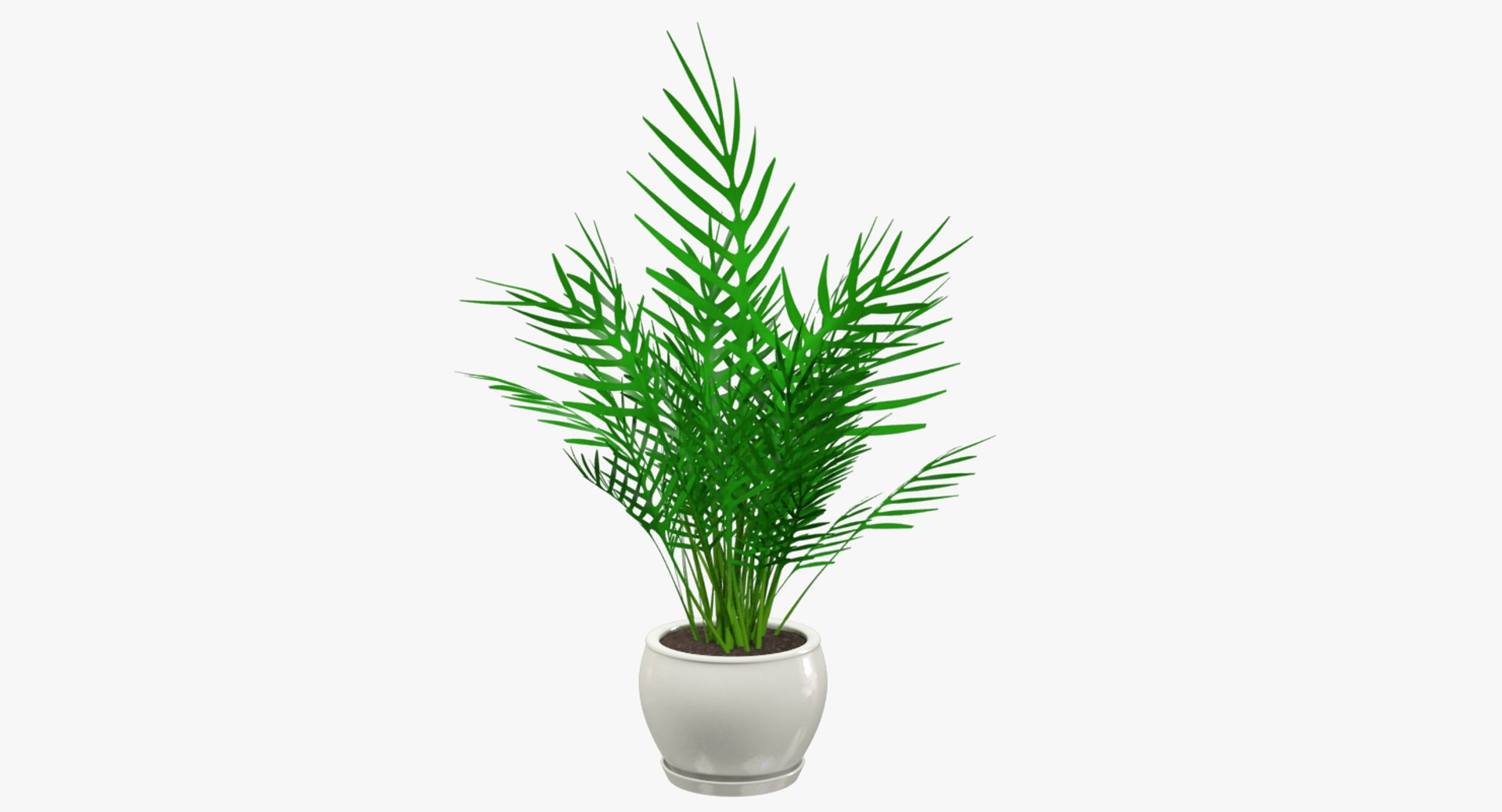 3D model indoor plants https://p.turbosquid.com/ts-thumb/vz/6ymWgl/jdviO01o/004_001copy/png/1530029920/1920x1080/fit_q87/6c223616675e54d58a7a3f1677d398a57d3c4834/004_001copy.jpg
