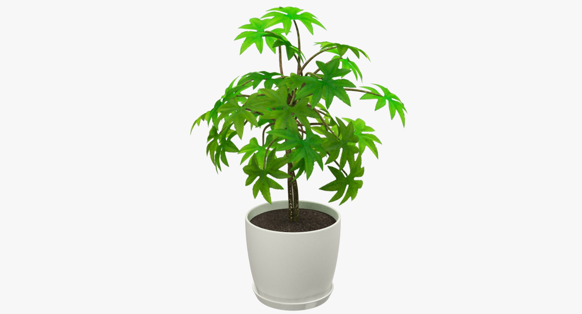 3D model indoor plants https://p.turbosquid.com/ts-thumb/vz/6ymWgl/kcSQ7q1V/004_002copy/png/1530030217/1920x1080/fit_q87/8a102f25fe649e561af8b6cf2a4482a496ea0114/004_002copy.jpg