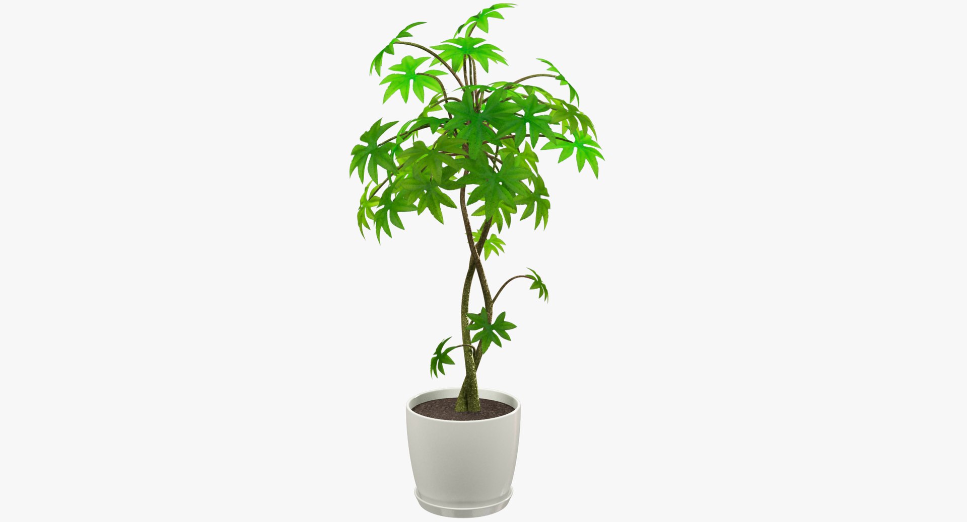 3D model indoor plants https://p.turbosquid.com/ts-thumb/vz/6ymWgl/mNgMGoI9/001/png/1530029227/1920x1080/fit_q87/3e59b900beb8fc2a2423cbe863f3fcdb6f830c84/001.jpg