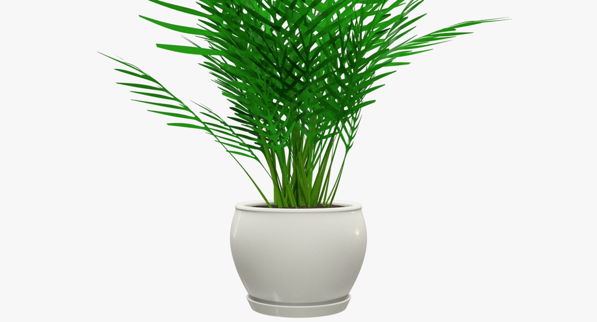 3D model indoor plants https://p.turbosquid.com/ts-thumb/vz/6ymWgl/xgMTfFXo/004_005copy/png/1530029920/1920x1080/fit_q87/67dafbade415f4d1efc1db4ce3f72a60cb949fcb/004_005copy.jpg