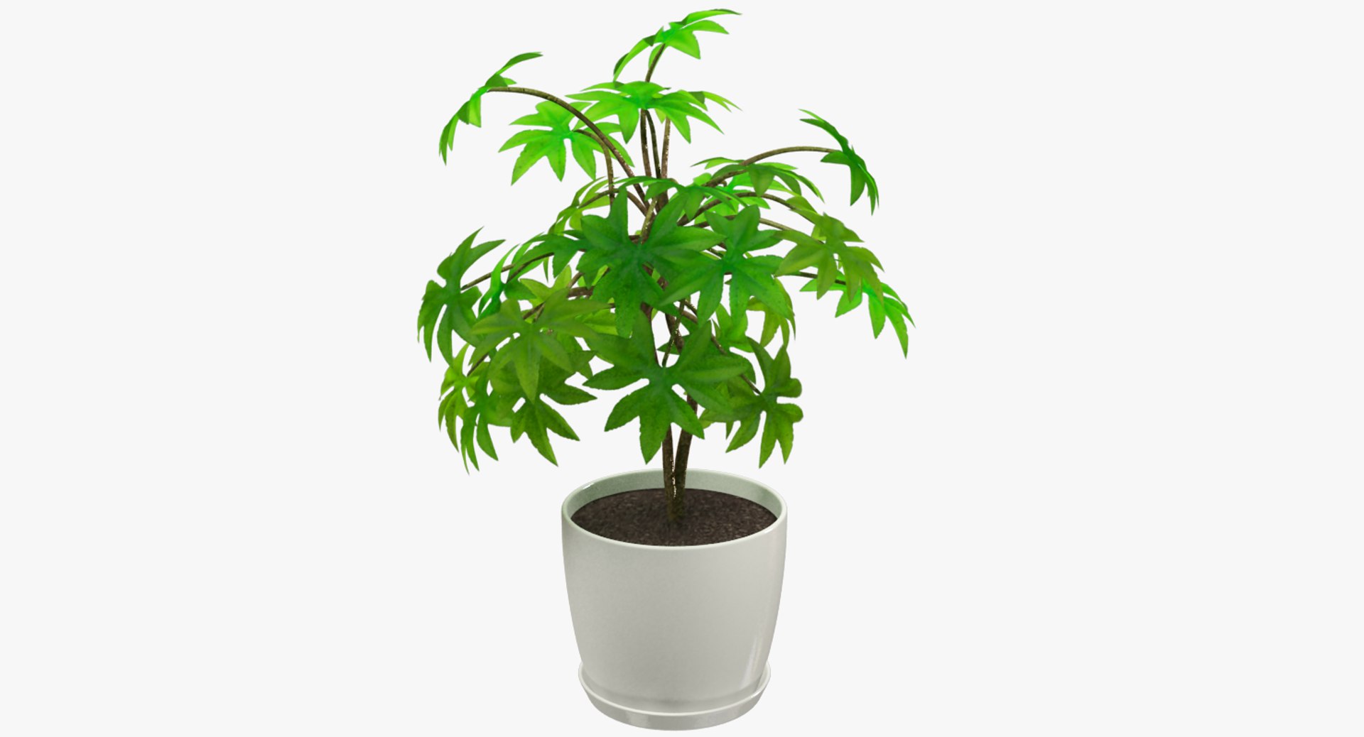 3D model indoor plants https://p.turbosquid.com/ts-thumb/vz/6ymWgl/ybavJ4mf/004_003copy/png/1530030217/1920x1080/fit_q87/8ca15660d86f69579f9a8b65e25ec1e1ae63712a/004_003copy.jpg