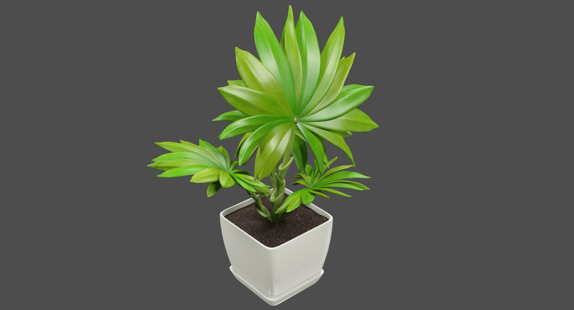 3D model indoor plants https://p.turbosquid.com/ts-thumb/vz/6ymWgl/zyHzU5FO/002/png/1530028742/1920x1080/fit_q87/024e4381fe4ff82722d3d4136cf29ad79e7d0dad/002.jpg