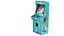 12 in 1 Arcade and Pinball Machine