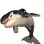 ORCA THE Killer Whale FISH 3D model