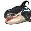 ORCA THE Killer Whale FISH 3D model