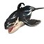 ORCA THE Killer Whale FISH 3D model