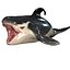 ORCA THE Killer Whale FISH 3D model
