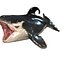 ORCA THE Killer Whale FISH 3D model