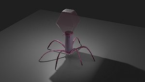 Bacteriophage