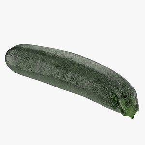 3D zucchini vegetable