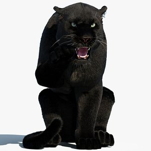 Rigged Black Panther with Fur