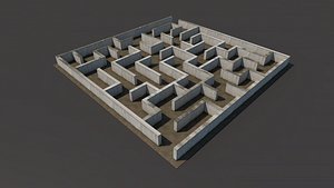 Maze
