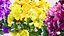 Atout de bouquet de fleurs réaliste