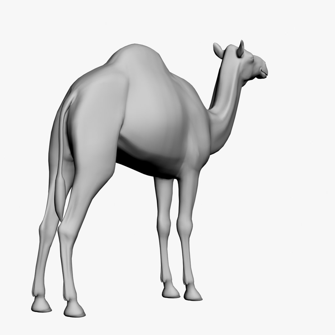 camel untextured 3d model https://p.turbosquid.com/ts-thumb/vz/pforgC/6RTgNoA0/5/jpg/1376342501/1920x1080/fit_q87/1a7389bc5f029147da730daf40398e328b8b88ba/5.jpg