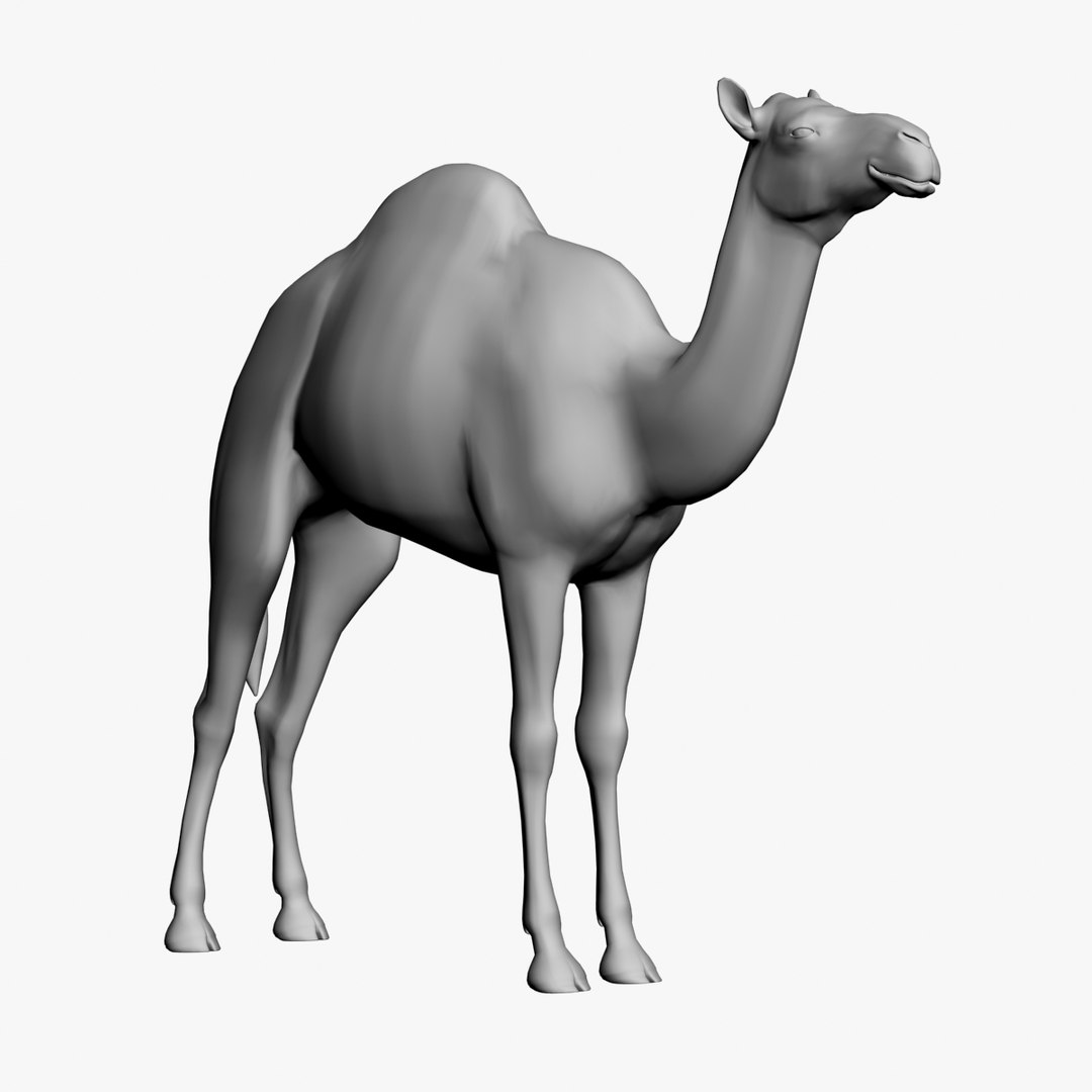 camel untextured 3d model https://p.turbosquid.com/ts-thumb/vz/pforgC/6u47MIjy/3/jpg/1376342500/1920x1080/fit_q87/175a685000e4ad1490e105592d9b7110c6ddf750/3.jpg