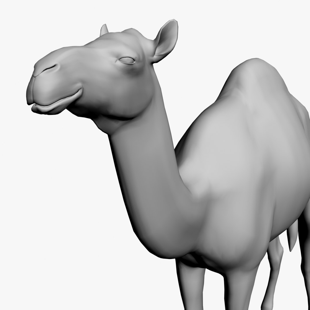 camel untextured 3d model https://p.turbosquid.com/ts-thumb/vz/pforgC/Hr1M5kDz/9/jpg/1376342501/1920x1080/fit_q87/2f793c2056c987fee4e138a44778e6269e78dddd/9.jpg