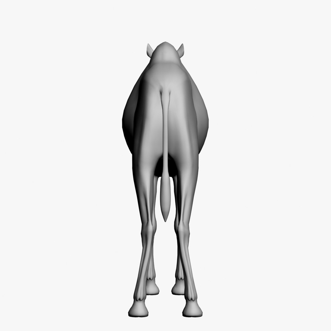 camel untextured 3d model https://p.turbosquid.com/ts-thumb/vz/pforgC/z5rEBIWc/6/jpg/1376342501/1920x1080/fit_q87/4525dbee8db32da49f9cf83d22b2df9860eb20af/6.jpg