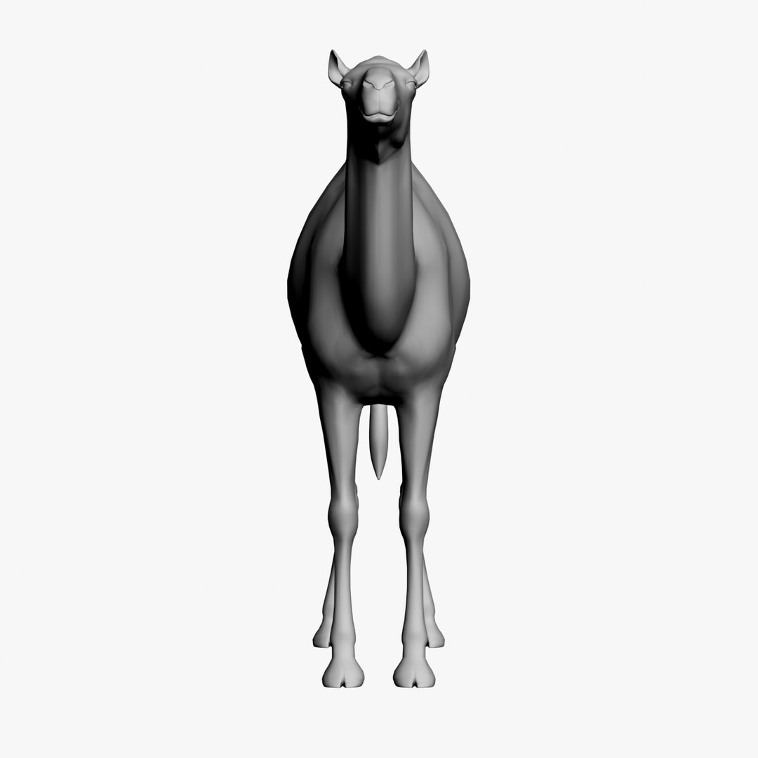 camel untextured 3d model https://p.turbosquid.com/ts-thumb/vz/pforgC/zQPCqAMW/2/jpg/1376342500/1920x1080/fit_q87/1b0cf1859180fa28ceab07b5473cea4c16ee6957/2.jpg
