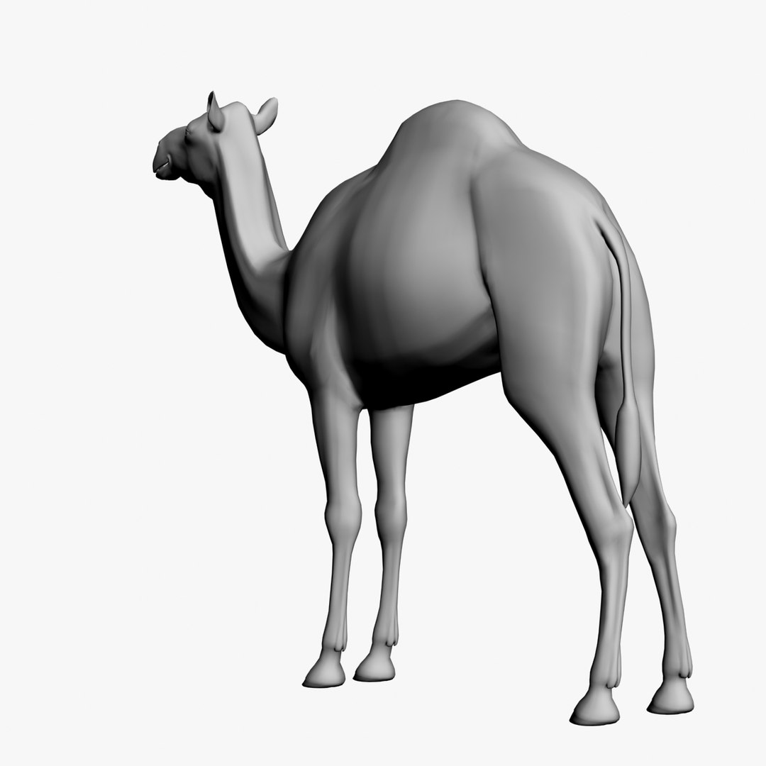 camel untextured 3d model https://p.turbosquid.com/ts-thumb/vz/pforgC/zf939dh4/7/jpg/1376342501/1920x1080/fit_q87/36db10bfd2c21be91c5be107d22c1a3856b15035/7.jpg