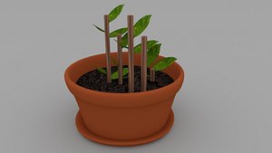 3D flower pot model