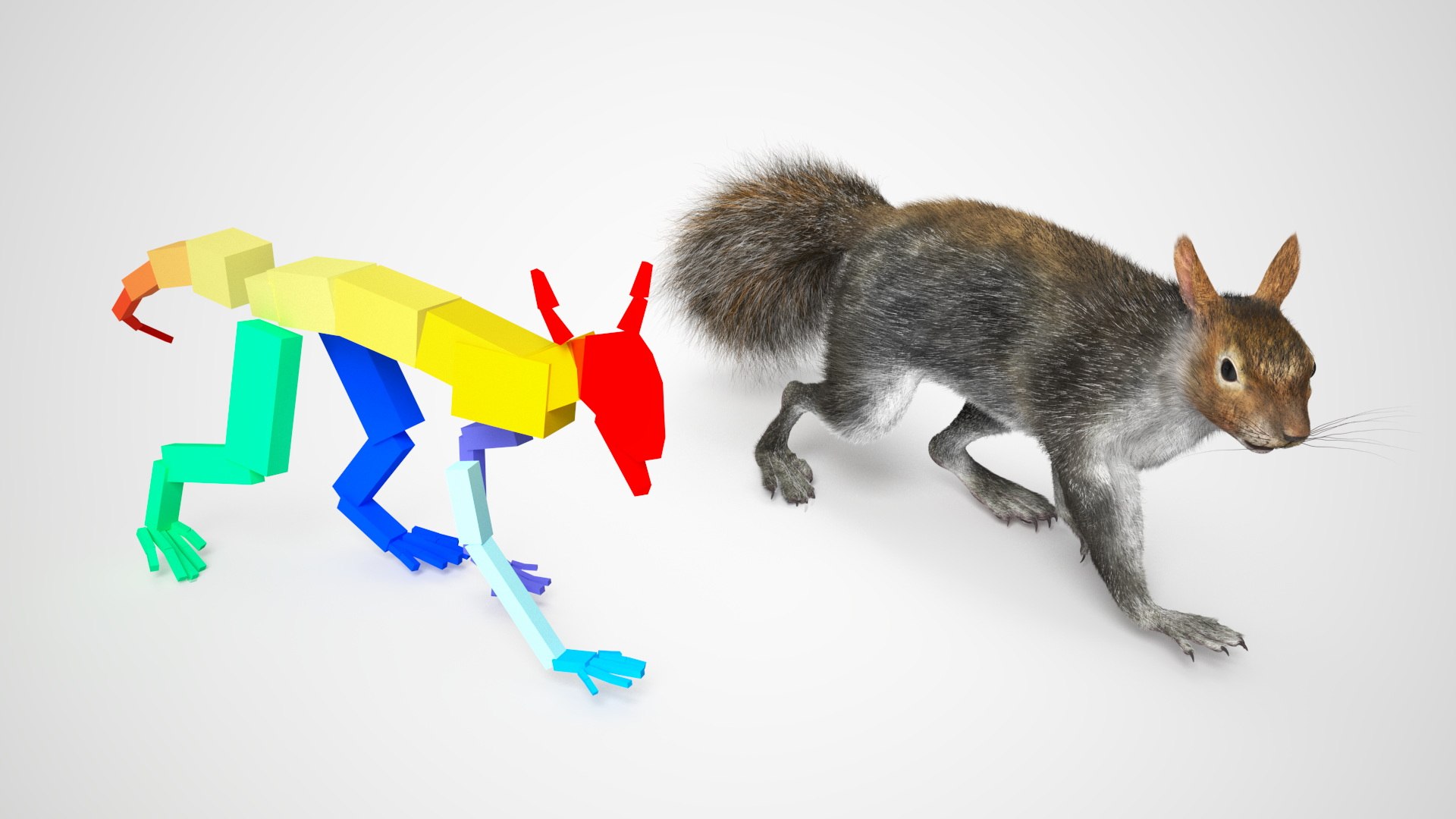 3D Model Gray Squirrel Fur Rigged - TurboSquid 2258233