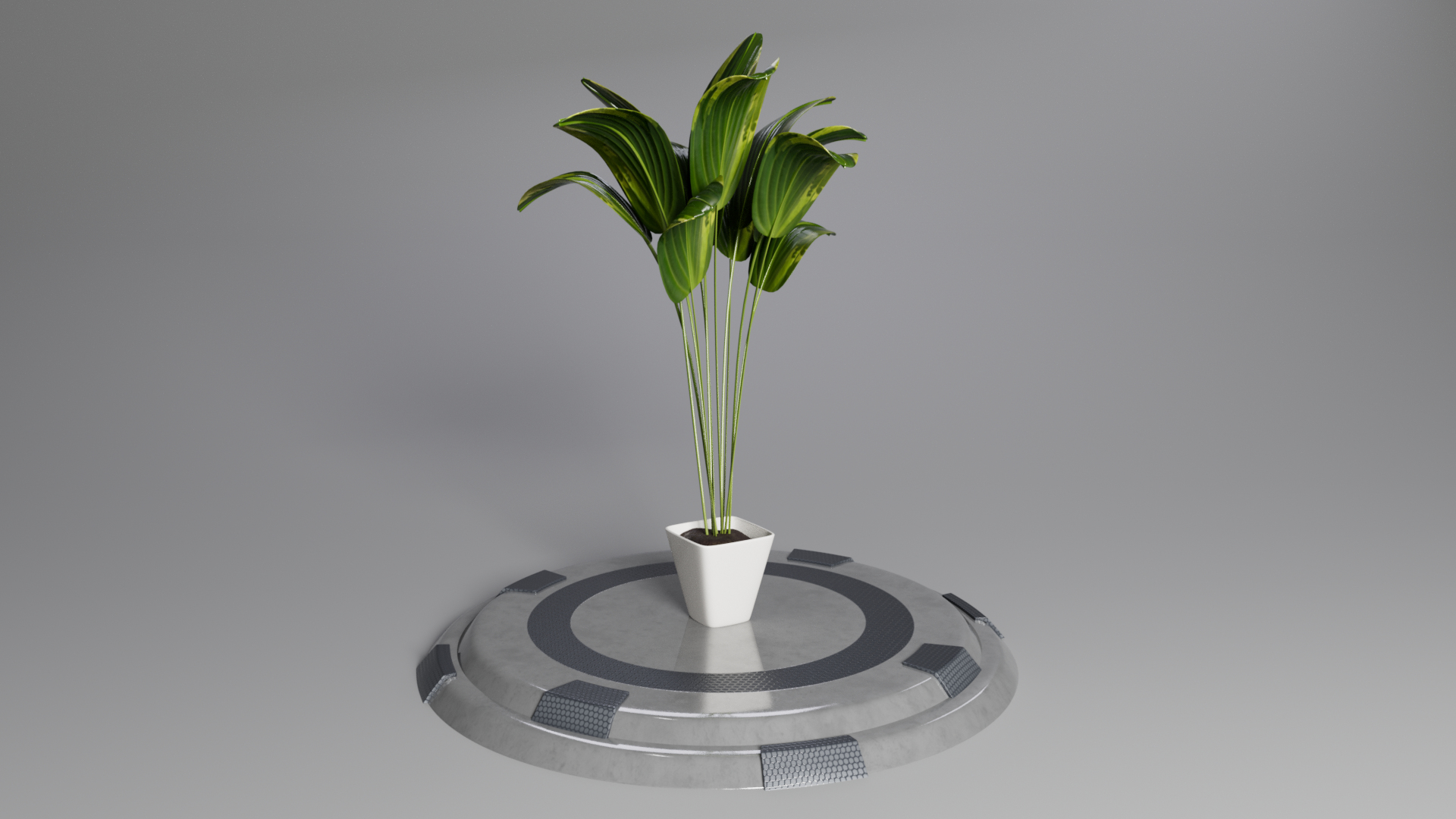 FLOWERPOT 3D https://p.turbosquid.com/ts-thumb/w0/EDLsvo/68/flowerpot/png/1728872171/1920x1080/turn_fit_q99/d4a149438439e2c3d5bfefb0107e64369c60ad48/flowerpot-1.jpg