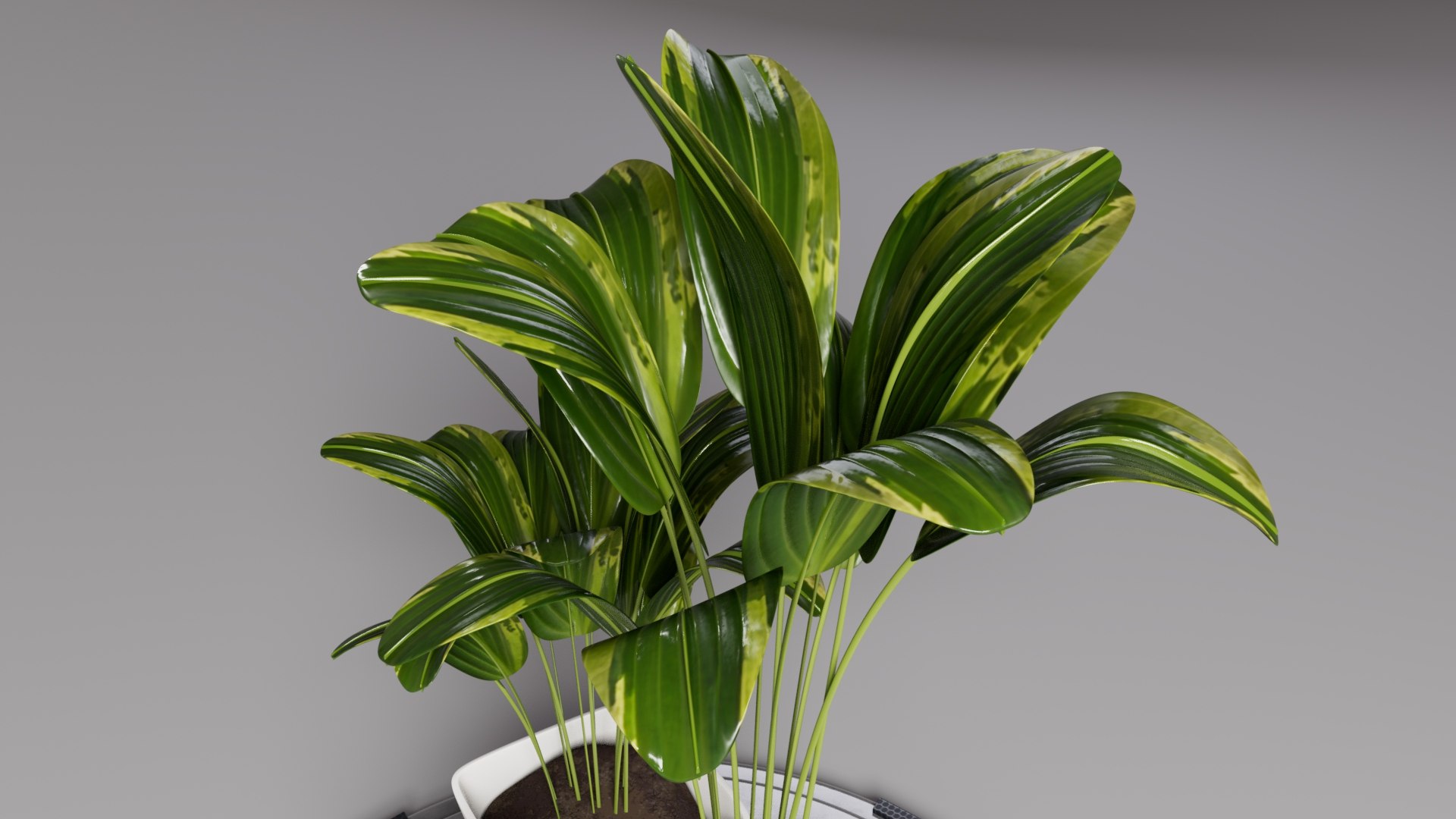 FLOWERPOT 3D https://p.turbosquid.com/ts-thumb/w0/EDLsvo/8F/perspective03/jpg/1728872248/1920x1080/fit_q87/611f3442e27c0f0395e57f5fb7527ba95f9d3505/perspective03.jpg