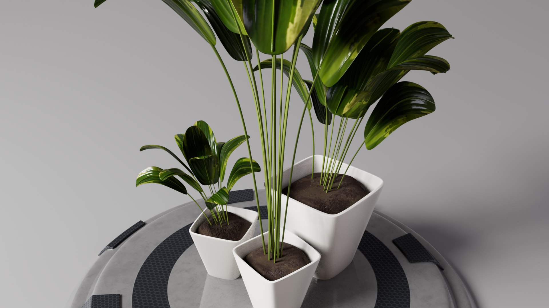 FLOWERPOT 3D https://p.turbosquid.com/ts-thumb/w0/EDLsvo/La/perspective04/png/1728872249/1920x1080/fit_q87/18242d3b52f893c9cf6e14103621ed798d77f854/perspective04.jpg
