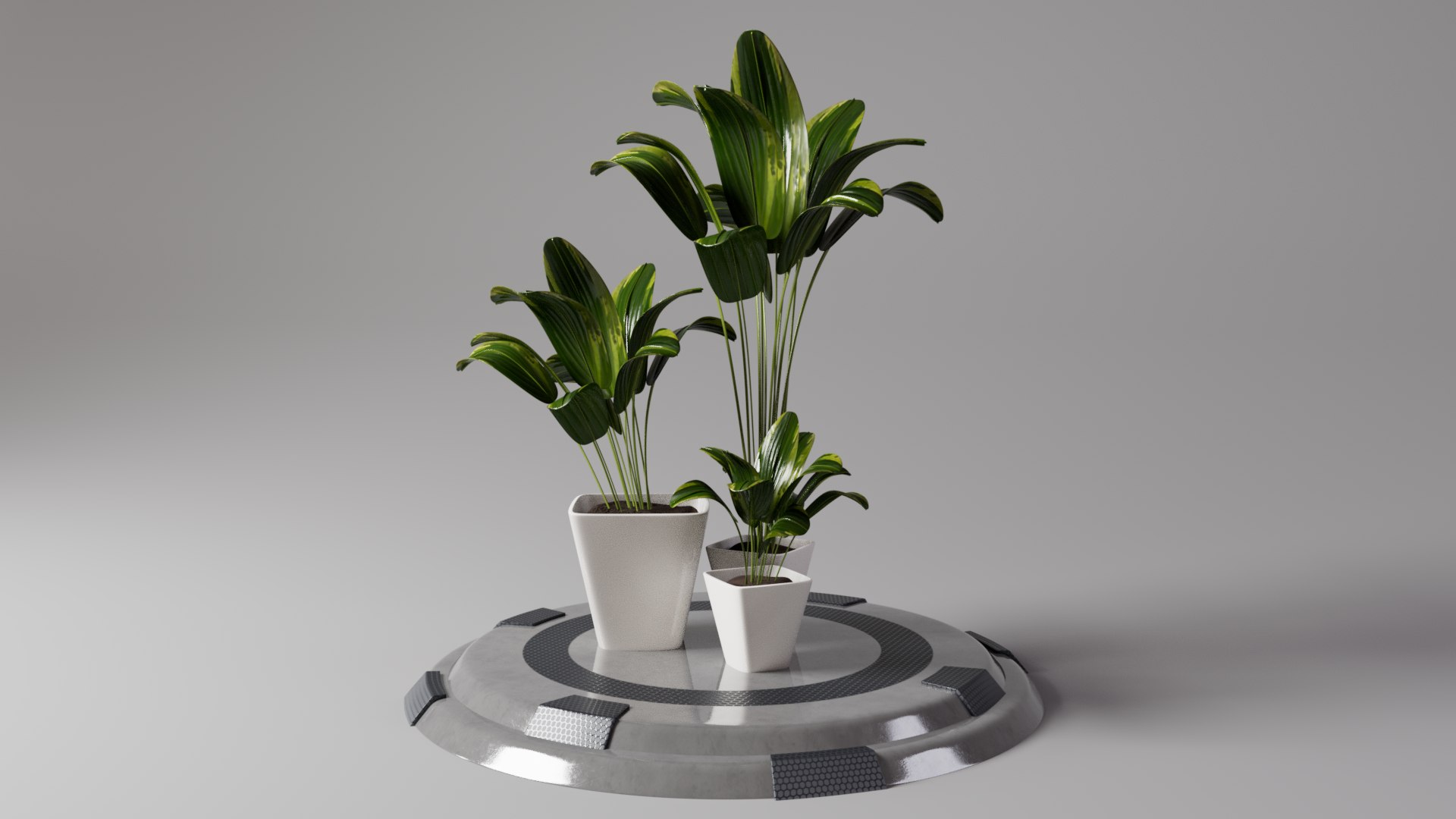 FLOWERPOT 3D https://p.turbosquid.com/ts-thumb/w0/EDLsvo/V5/perspective01/png/1728872249/1920x1080/fit_q87/bfa7e933b94e943fb4fd7f9cdc736439dd17f5b3/perspective01.jpg