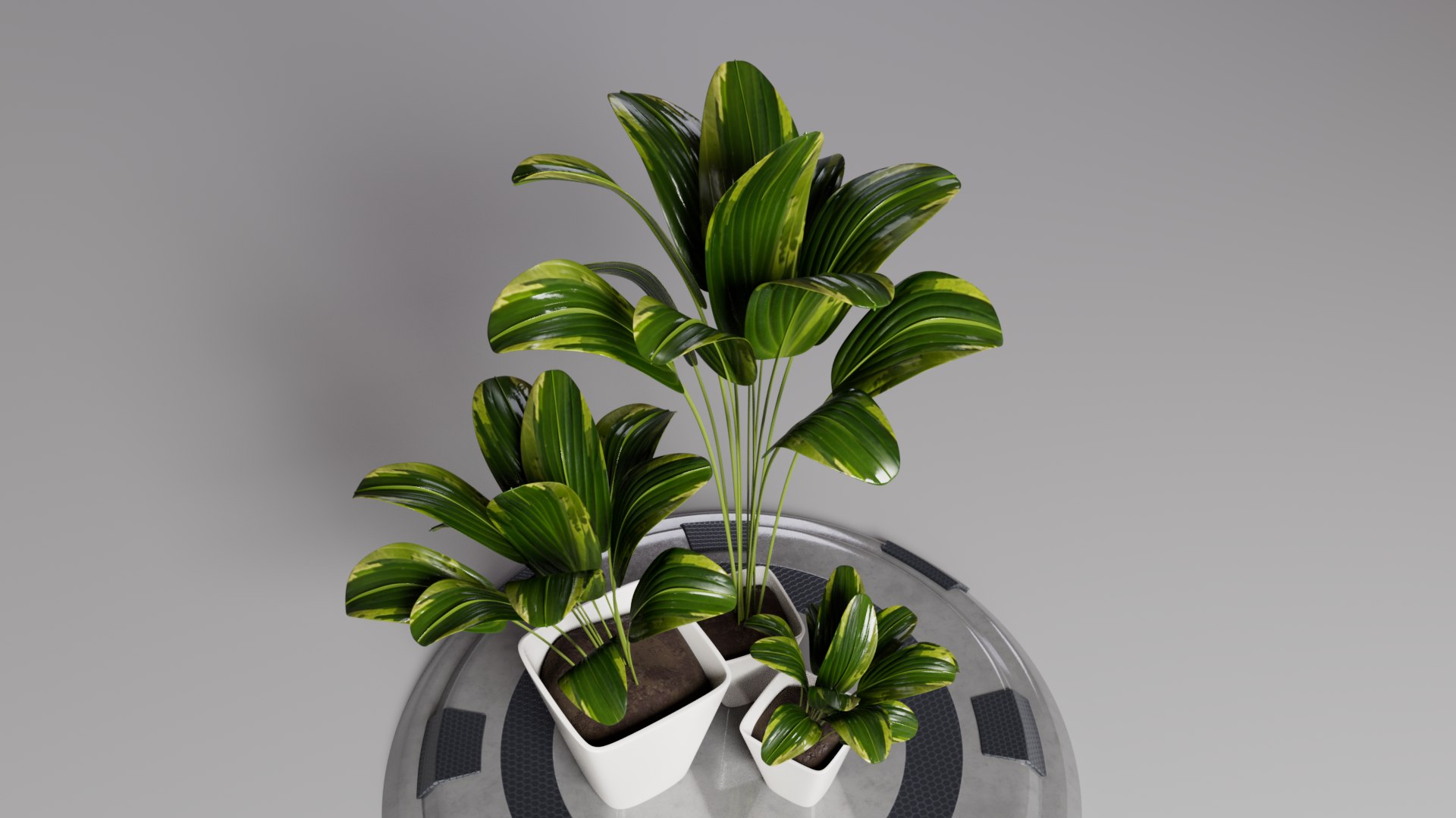 FLOWERPOT 3D https://p.turbosquid.com/ts-thumb/w0/EDLsvo/fF/perspective02/png/1728872249/1920x1080/fit_q87/2756ecf4fd75c1b72ca3b0a7ef1154af308e8ccc/perspective02.jpg