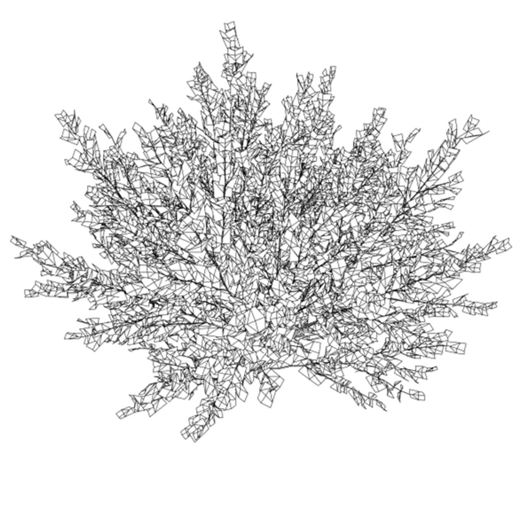 common physocarpus opolifolius 3ds https://p.turbosquid.com/ts-thumb/w0/JfgBhx/4xJPzsnZ/physocarpus_opolifolius_007/jpg/1355409512/1920x1080/fit_q87/6a752eff4a9768ccc382badb0962b9c16c0aaab5/physocarpus_opolifolius_007.jpg