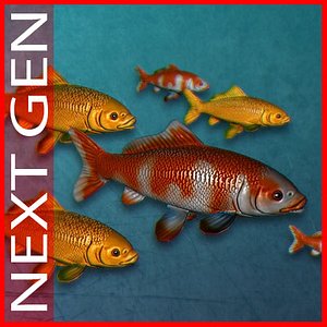 3d model koi fish