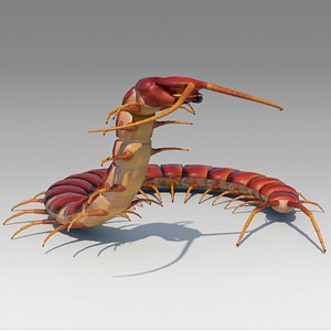 3D centipede