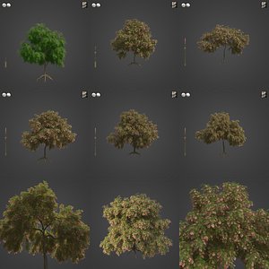 2021 PBR French Tamarisk Collection - Tamarix Gallica