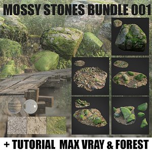 mossy stones 001 3D model