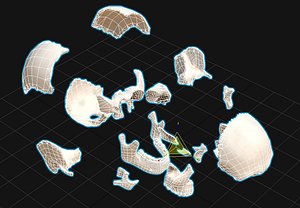 Skull cross section Human Anatomy Midpoly AR VR mobile
