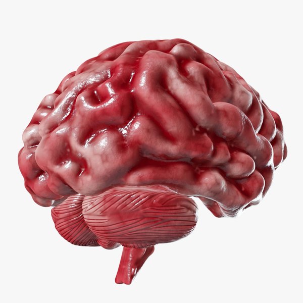 10 Approaches To Successfully Increase Brain Function