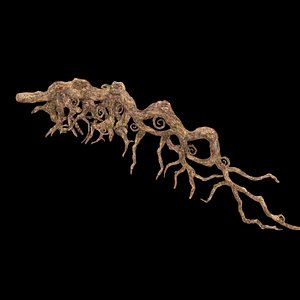 The roots of the withered tree 3D model