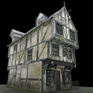 Tudor House 3D