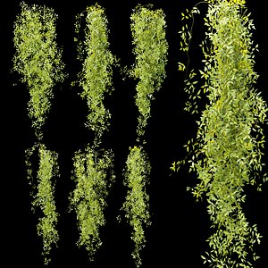 Hanging plants collection vol 248 3D