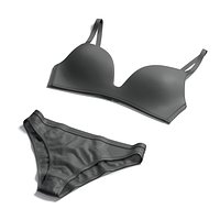 Womens Classic Lingerie Black Set - female bikini slip pants with brassiere