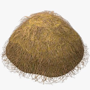 Haystack Stack of Hay Straw Pile