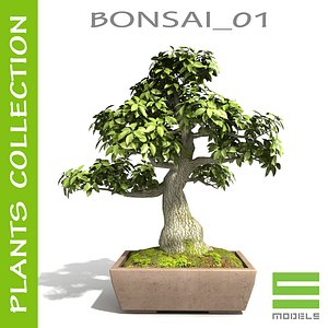 3dsmax bonsai 01 -
