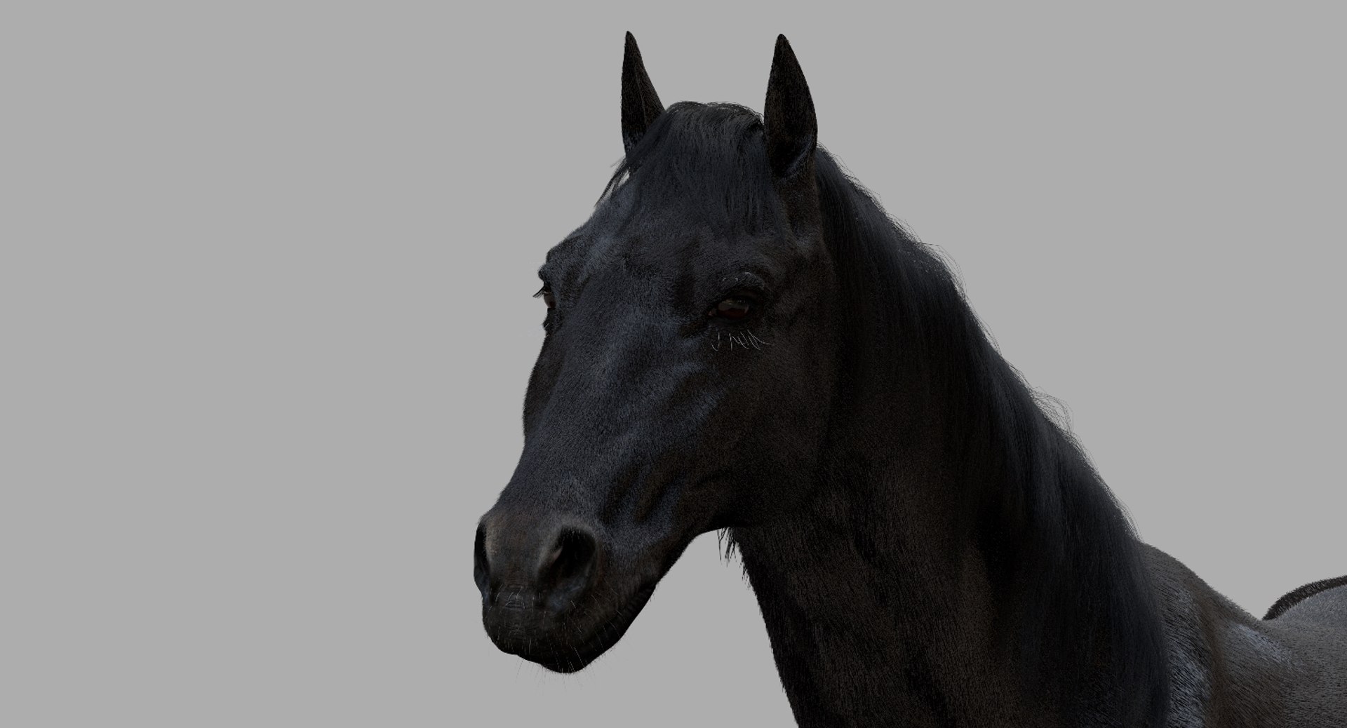 3D horse rigged https://p.turbosquid.com/ts-thumb/w1/DldkT0/2KHK3zFA/04/jpg/1542526902/1920x1080/fit_q87/c2723d3f9751c41ba52955017312aea7ec7b3265/04.jpg