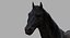Cheval Noir (Rigged)