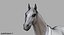 Cheval Noir (Rigged)