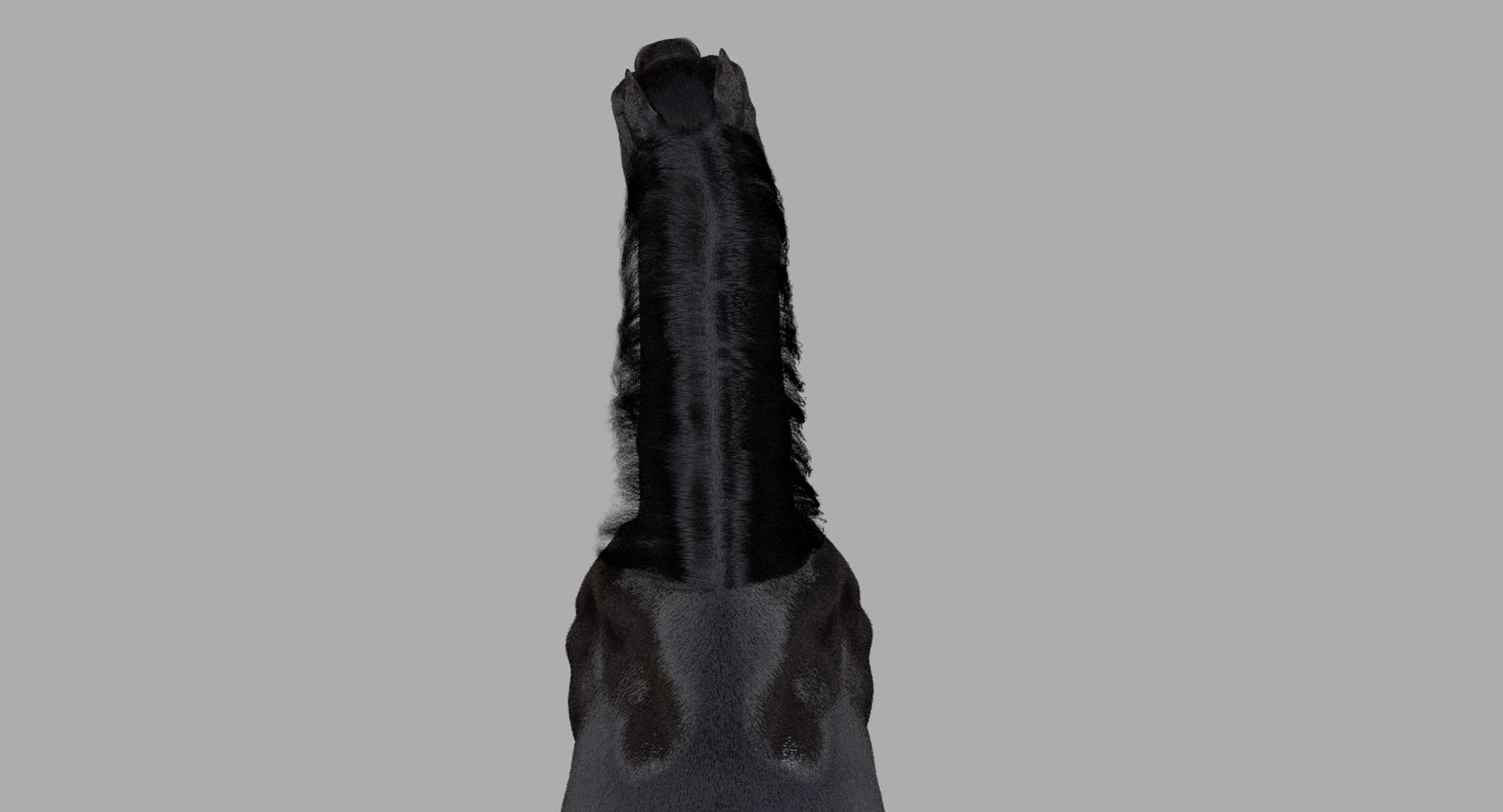 3D horse rigged https://p.turbosquid.com/ts-thumb/w1/DldkT0/5hxSHr4Q/13/jpg/1542526903/1920x1080/fit_q87/138fe89afc4235eecb6d9be42239309682caa793/13.jpg