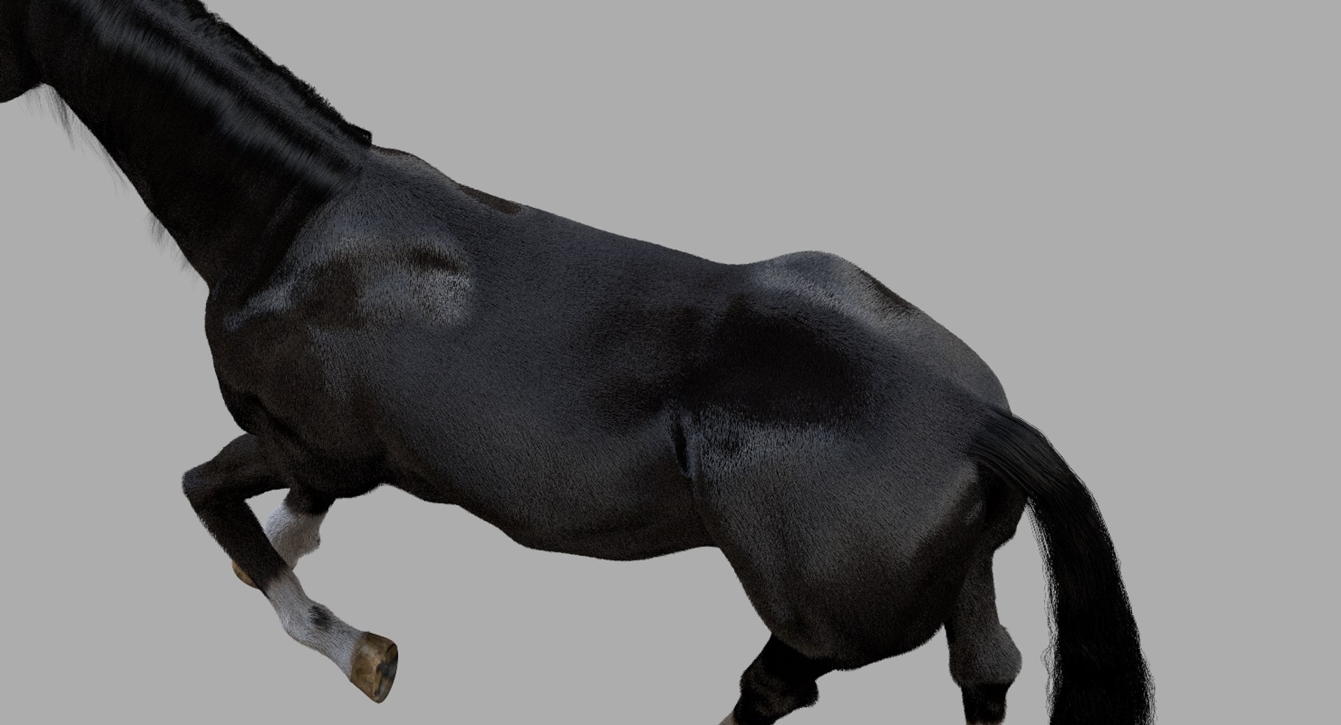 3D horse rigged https://p.turbosquid.com/ts-thumb/w1/DldkT0/9O2Xjoso/08/jpg/1542526902/1920x1080/fit_q87/c336c1e8bd0a663e9022242092cabb434dc6b70f/08.jpg